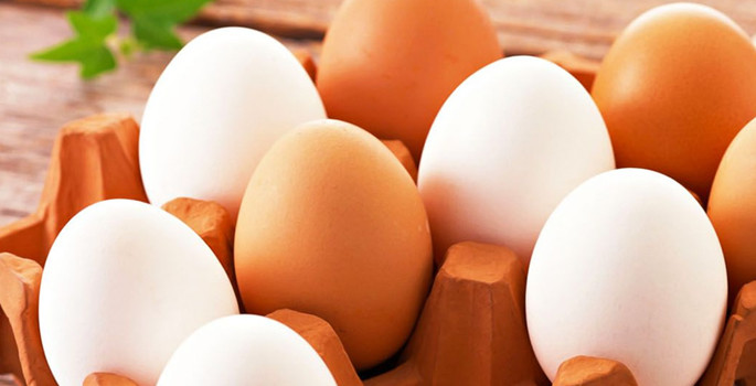 Ağustosta 1,6 milyar tavuk yumurtası üretildi