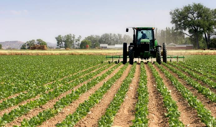 Çiftçiler, 'Tarım Platformu' kurulmasını istiyor