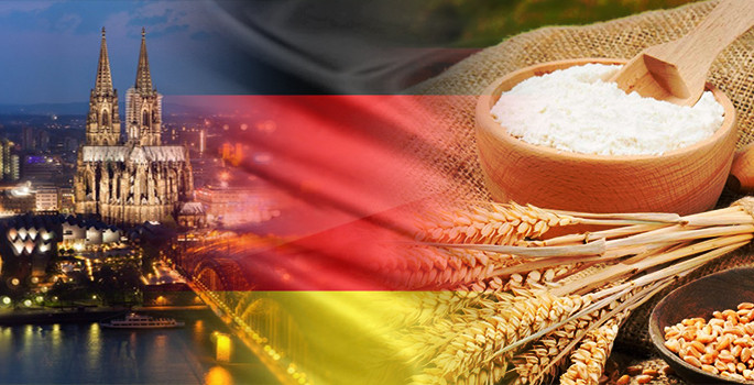 Alman firma Angola için buğday unu satın alacak