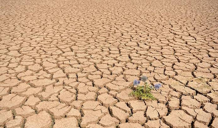 Bolivya'da su krizi büyüyor