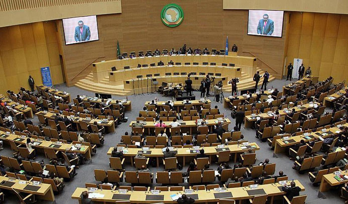 Afrika Birliği, BM'den veto hakkı istiyor