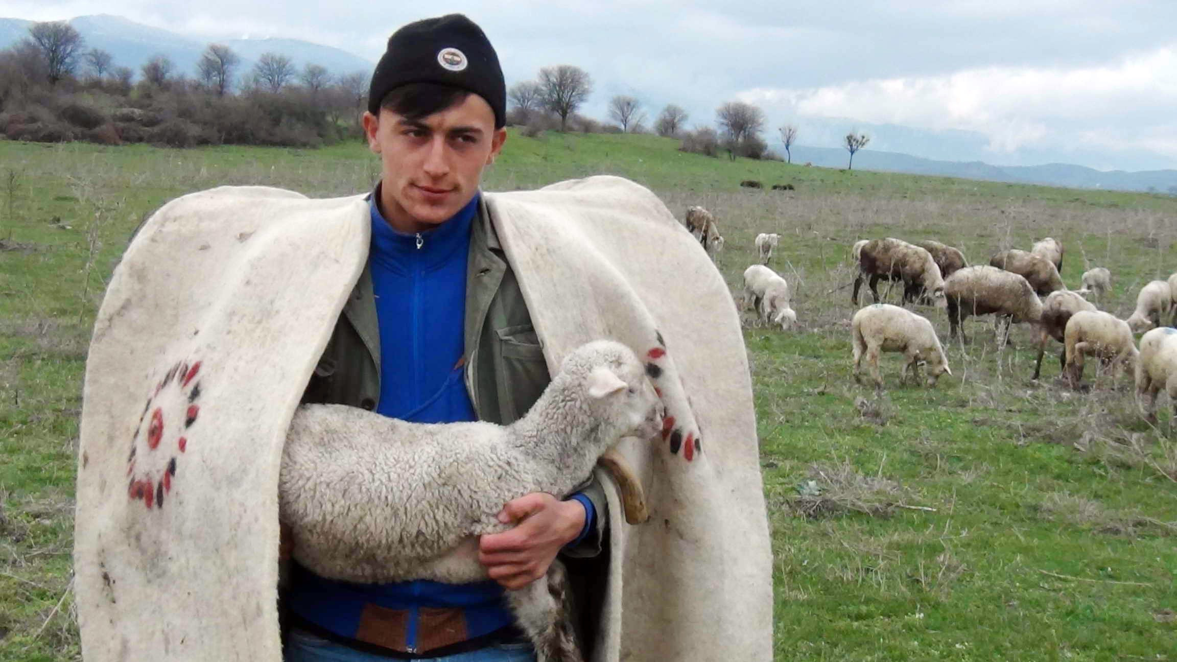 Türkiye'de ilk kez çobanlar için fuar düzenlenecek
