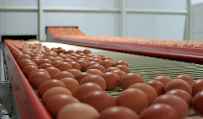 Yumurta üreticilerinden KDV indirimi talebi
