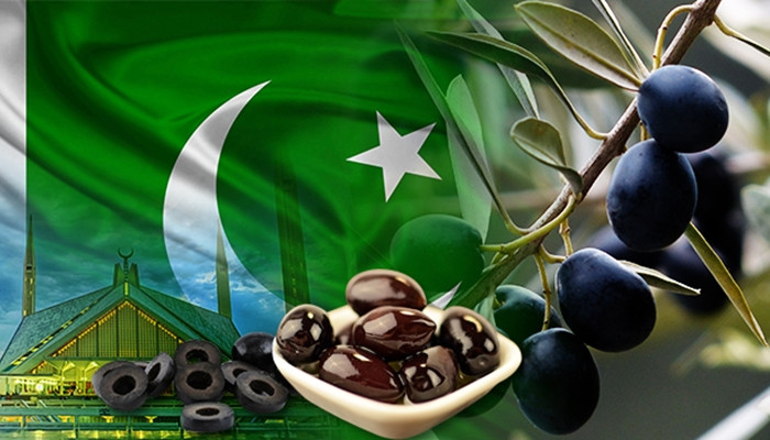 Pakistanlı gıda toptancısından zeytin talebi