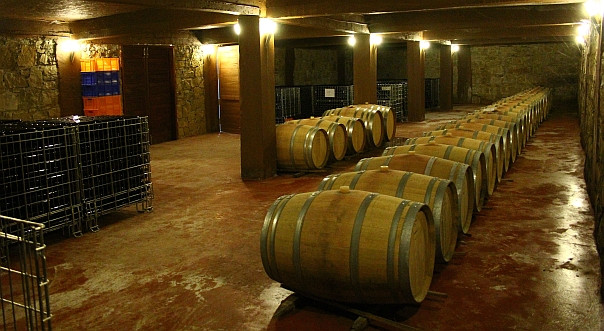 Şarap üretimine yeni düzenleme
