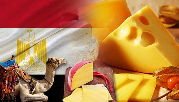 Mısırlı firma, Türkiye’den peynir almak istiyor