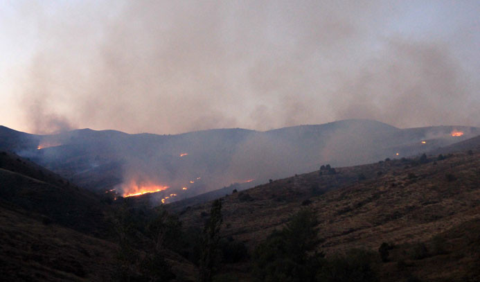 Sivas'ta orman yangını: 200 hektar kül oldu