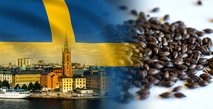 İsveçli müşteri kavrulmuş arpa satın alacak