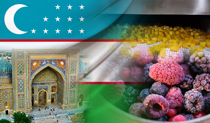 Özbekistanlı müşteri IQF hat kurulum dahil teklif istiyor