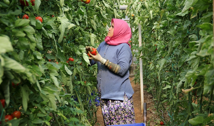 Bursa’da 75 kadın çiftçi iş sahibi olacak