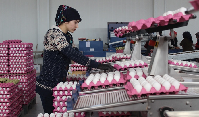 Yumurta fiyatının aylık belirlenmesi ihracatçıyı rahatlattı