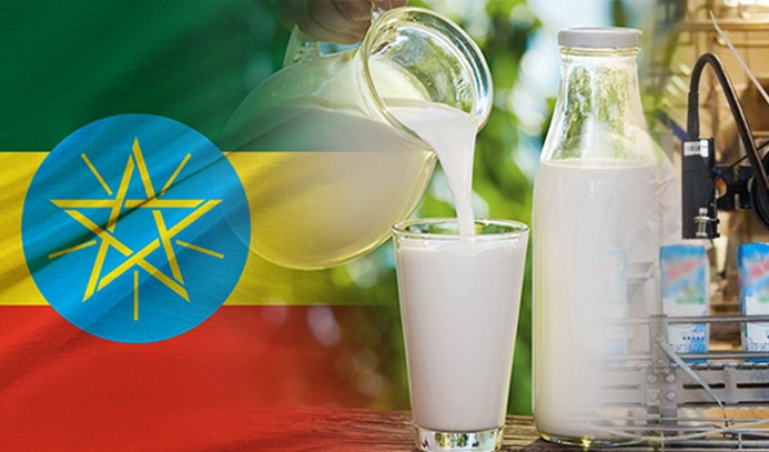 Etiyopya’da süt fabrikası kurulumu için teklif isteniyor