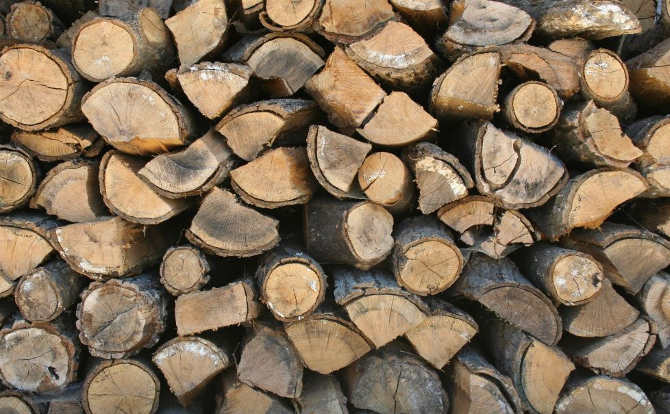 2,4 milyar insan yemeğini odunla pişiriyor