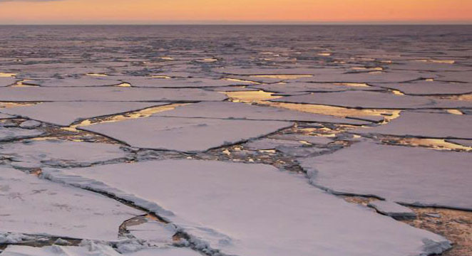 Kutuplarda deniz buzu rekor düzeyde azaldı