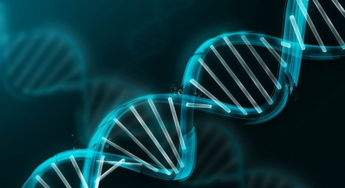 DNA onarımının kritik bileşeni bulundu