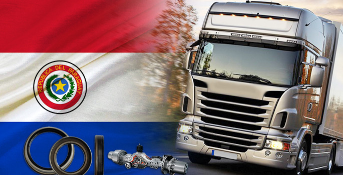 Paraguaylı müşteri kamyon yedek parça ithal edecek