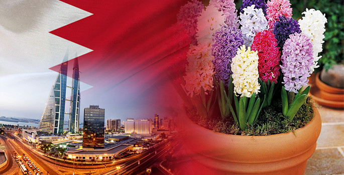 Bahreynli botanik firması toprak saksılar ithal edecek