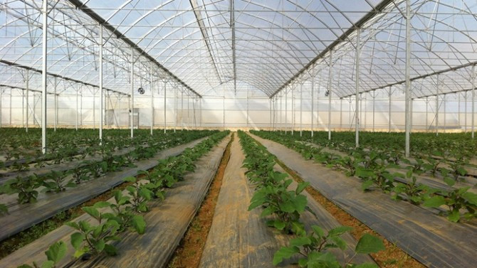 Rus tarım heyeti İzmir'de