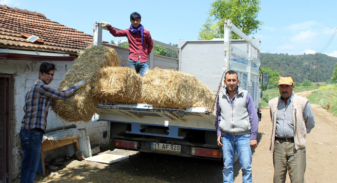 Saman fiyatları cep yakıyor