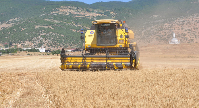 Buğday hasadındaki yüksek rekolte üreticinin yüzünü güldürdü