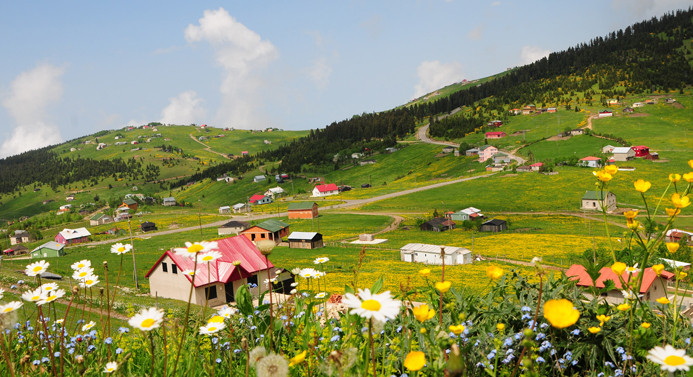 Yayla turizminin yeni adresi: Tonya