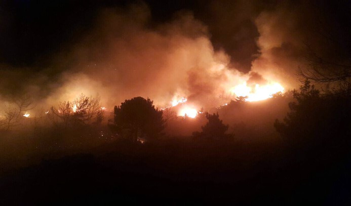 Datça'da 5 hektar ormanlık alan yandı