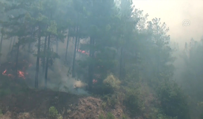 Antalya'da orman yangını, 15 ev boşaltıldı