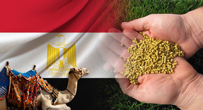 Mısırlı firma 200 ton/ay mısır gluteni ithal edecek
