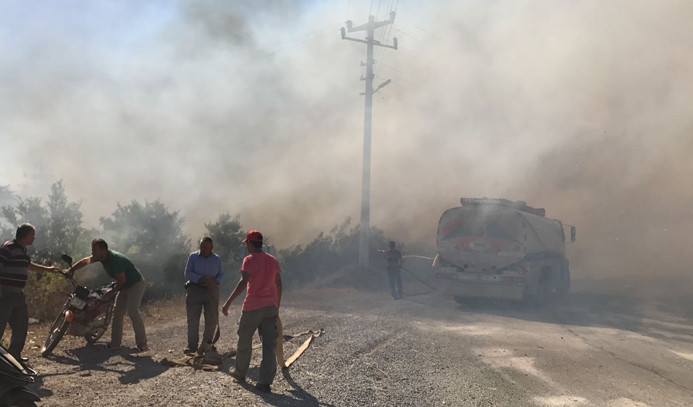 Alanya'da villalar bölgesinde yangın