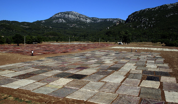 Antalya'da milyonluk halı ve kilim tarlası