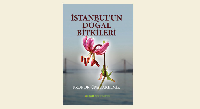 İstanbul'un 982 bitkisi