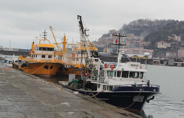 Karadenizli balıkçılar sezonu erken kapatıyor