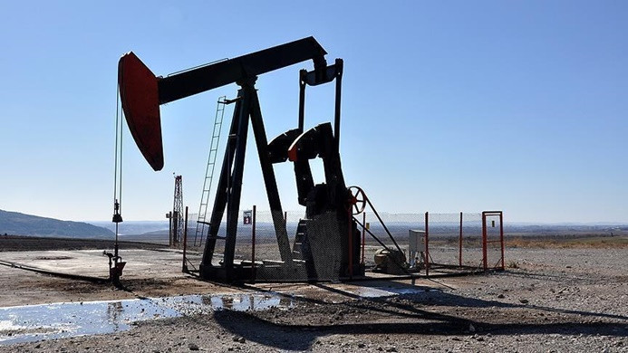 Ham petrol fiyatlarında sınırlı artış