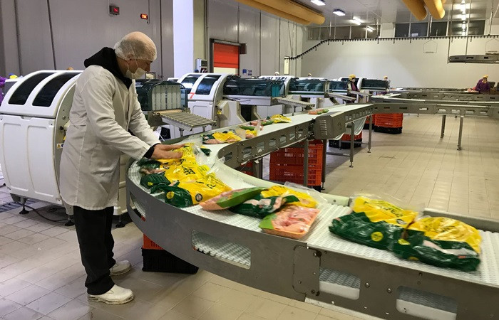 Japonya'ya 500 ton tavuk eti ihracatı