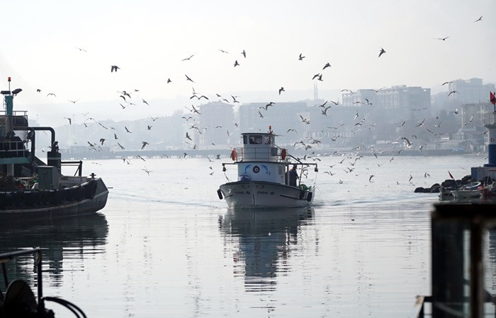 Küçük tekne balıkçıları 'karides' peşinde