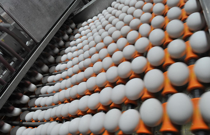 Yumurtacılar yeni pazarlara açılmak istiyor