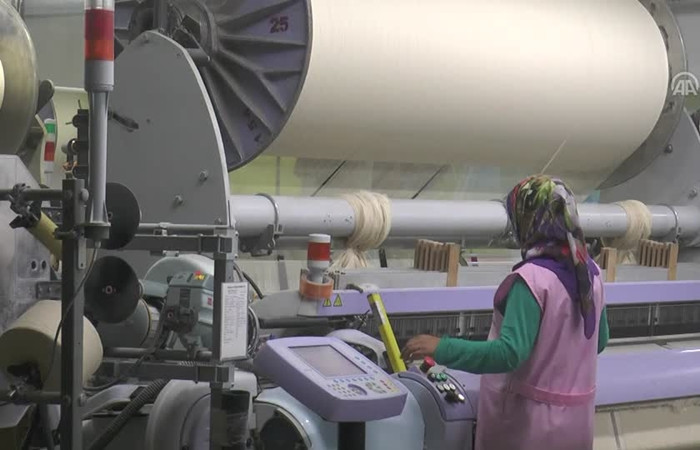 Organik bebek tekstilinde ihracat başarısı
