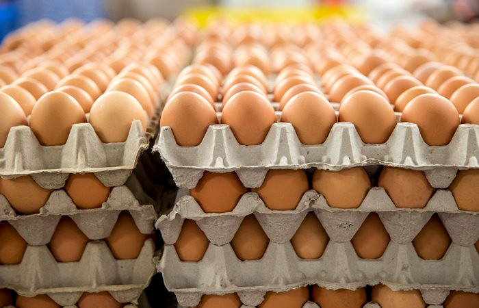 Yumurta üreticileri kod uygulamasından memnun