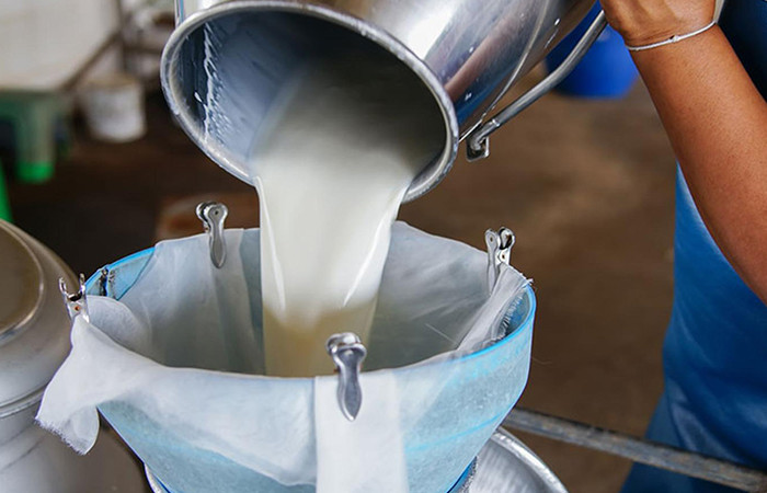 Süt fiyatı arttı dişi hayvan kesimleri azaldı