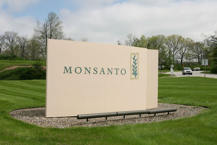 "ABD, Bayer'in Monsanto'yu almasına izin verecek" iddiası