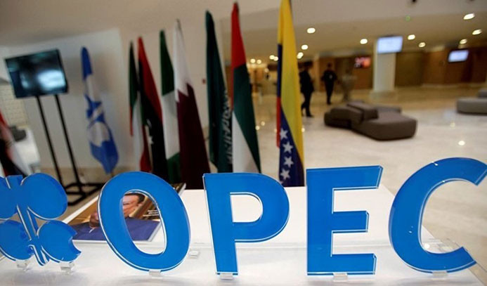 "OPEC'in petrolde belirli bir fiyat hedefi yok"