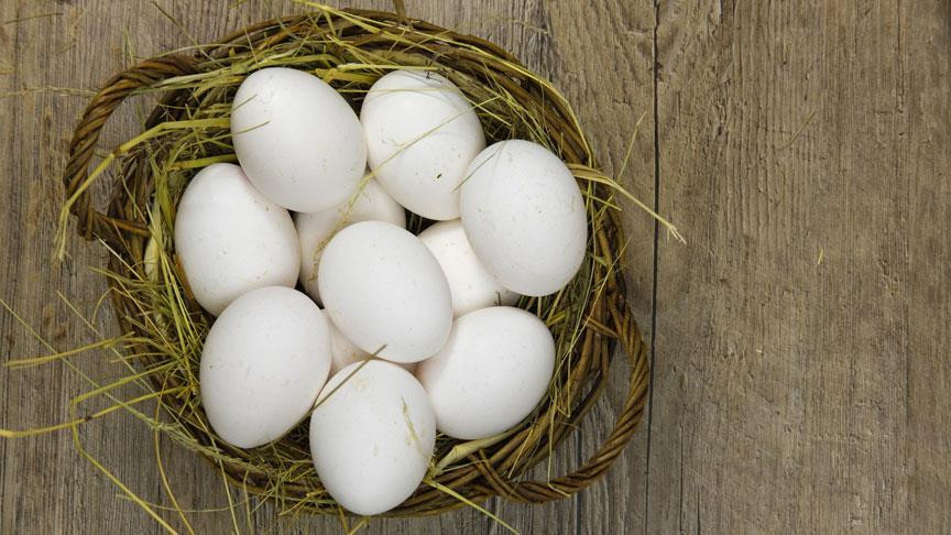 Yumurta üretiminde yüzde 1.5 artış