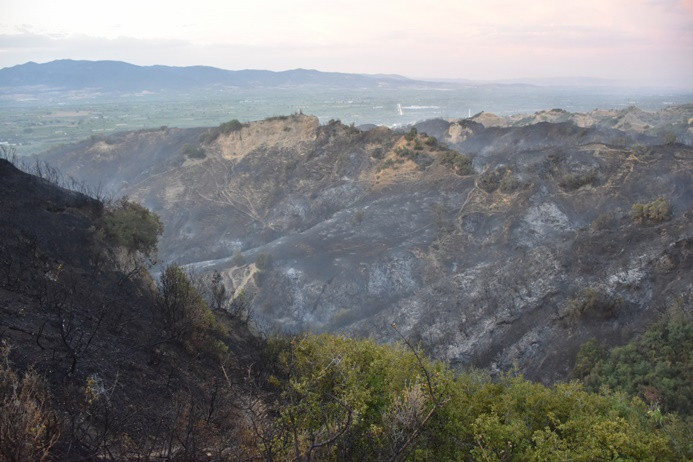 Manisa'daki yangında 50 hektarlık alan zarar gördü