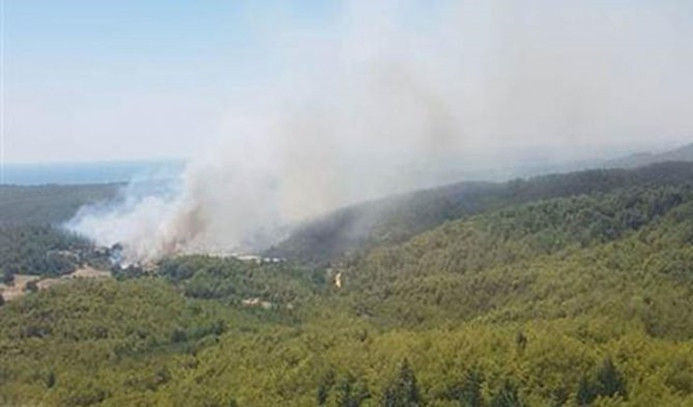 Antalya'da orman yangını: 1 uçak, 4 helikopter bölgede