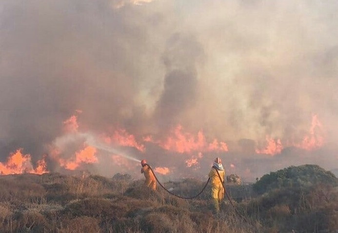 Bodrum'da çıkan yangında 40 hektarlık alan kül oldu