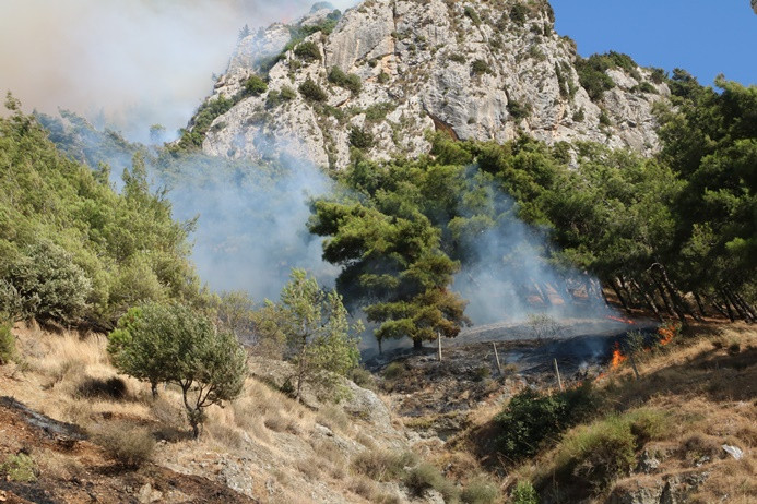 Antakya’da Habib-i Neccar Dağı’nda orman yangını
