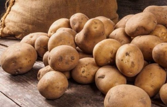 Patateste 'yerli ithalat' iddiası yalanlandı