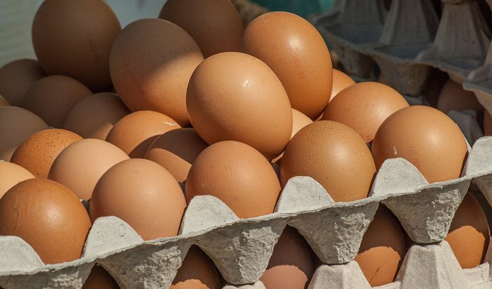 Yumurta ihracatı 12 yılda 20 kat arttı