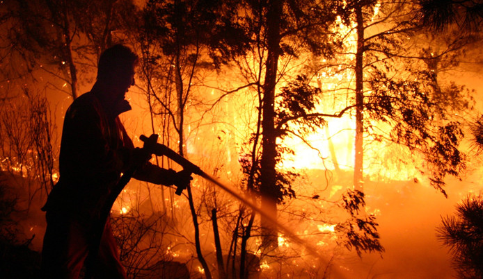Orman yangınlarıyla mücadeleye yeni kriterler getirildi