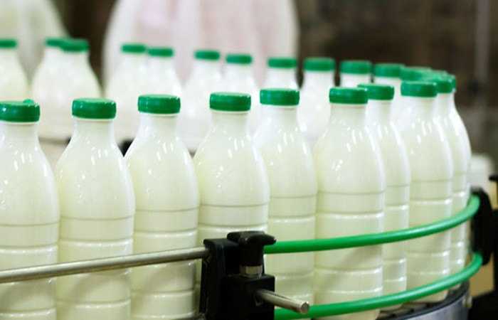 Çin'e süt ihracatı zor ama imkansız değil